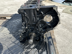Motor polumotor SsangYong Kyron (fotografija 2)