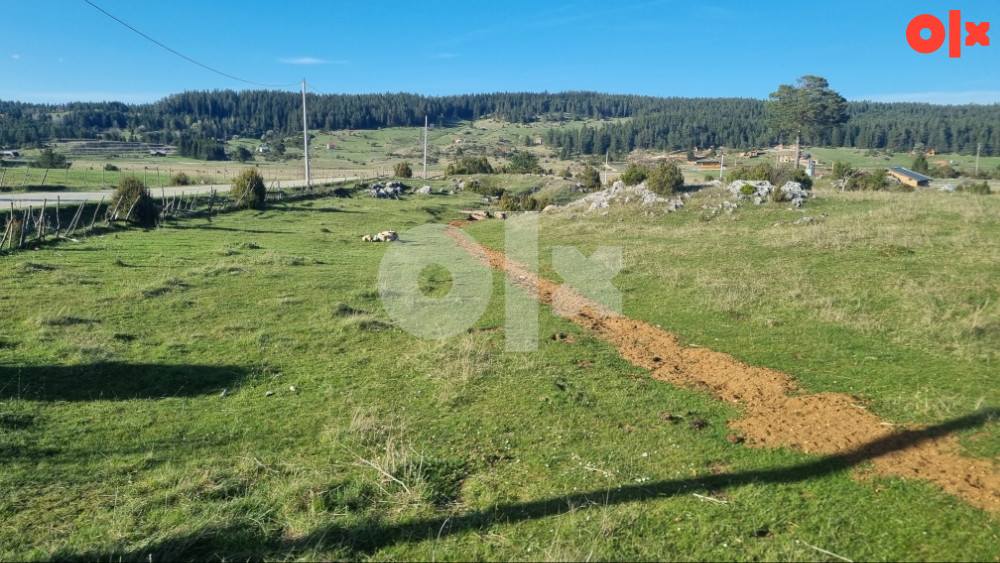 Ravna Romanija 6700m2 - 800m od MONSA Gradjevinsko zemljište 3
