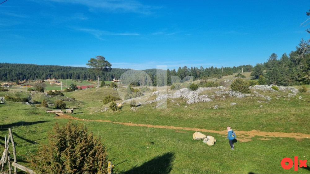 Ravna Romanija 6700m2 - 800m od MONSA Gradjevinsko zemljište