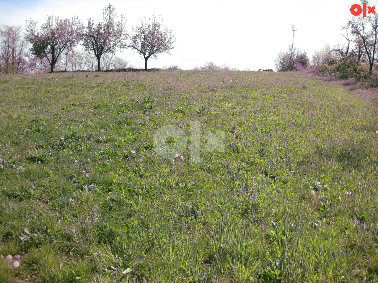 Zemljište Banja Luka - Čelinac 6685m2 i 7462m2 2