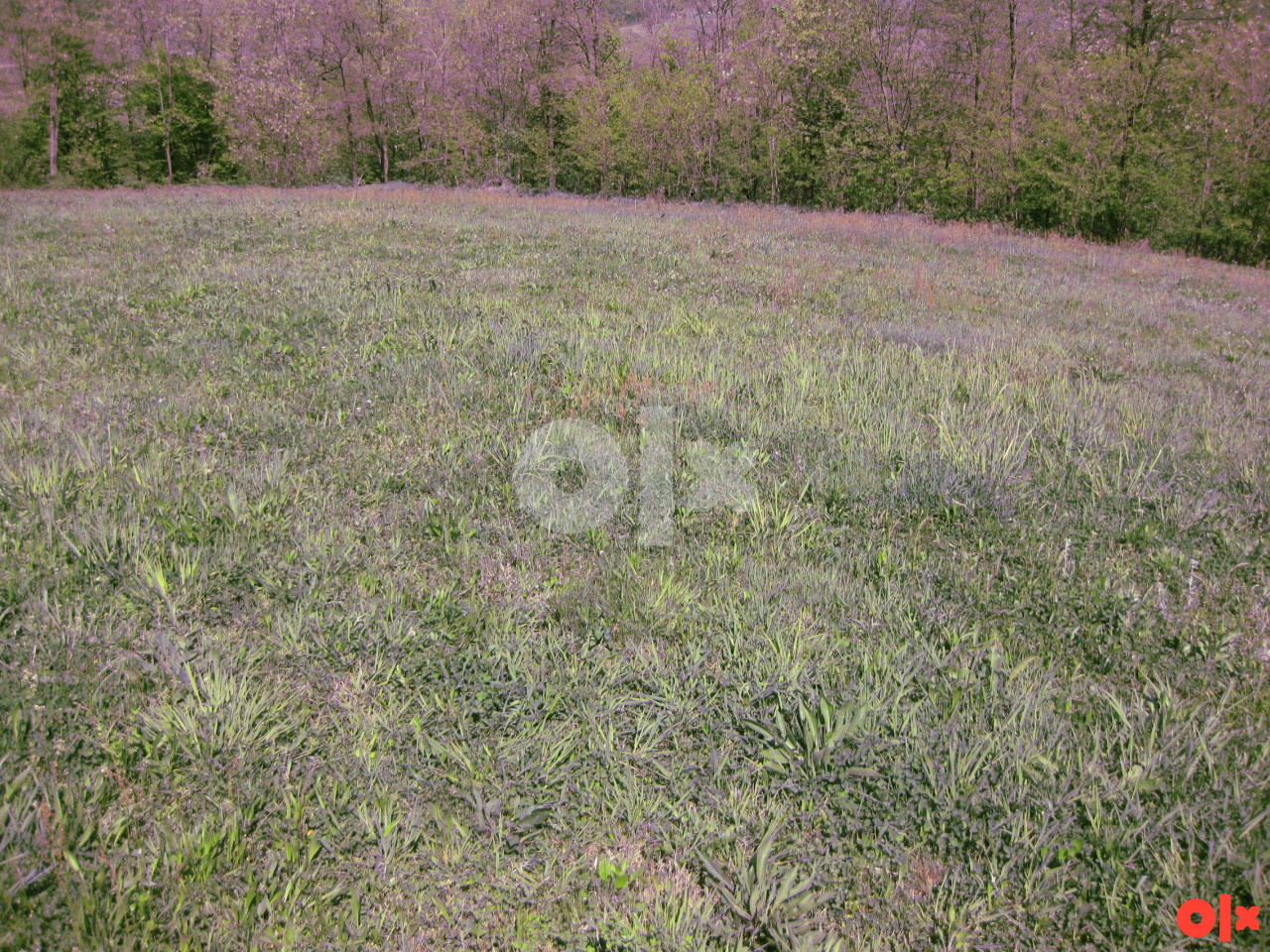 Zemljište Banja Luka - Čelinac 6685m2 i 7462m2 3