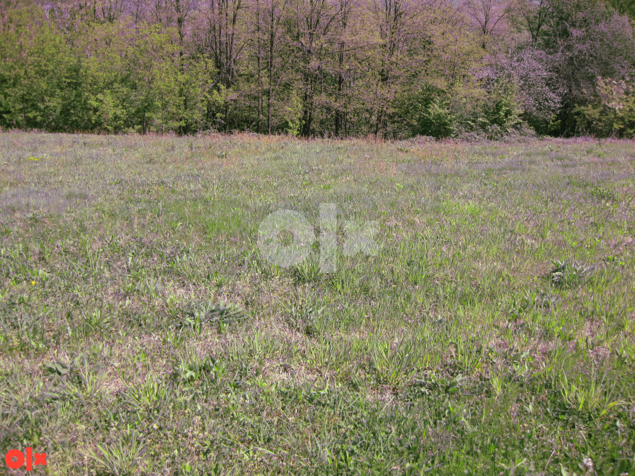 Zemljište Banja Luka - Čelinac 6685m2 i 7462m2 4