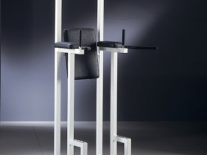 Technogym isotonic chin dip