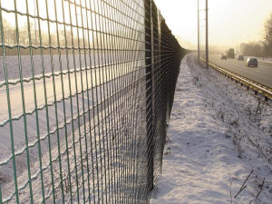 OGRADA FORTINET MEDIUM H-122CM OKCE 50X50XMM FI 3,00MM