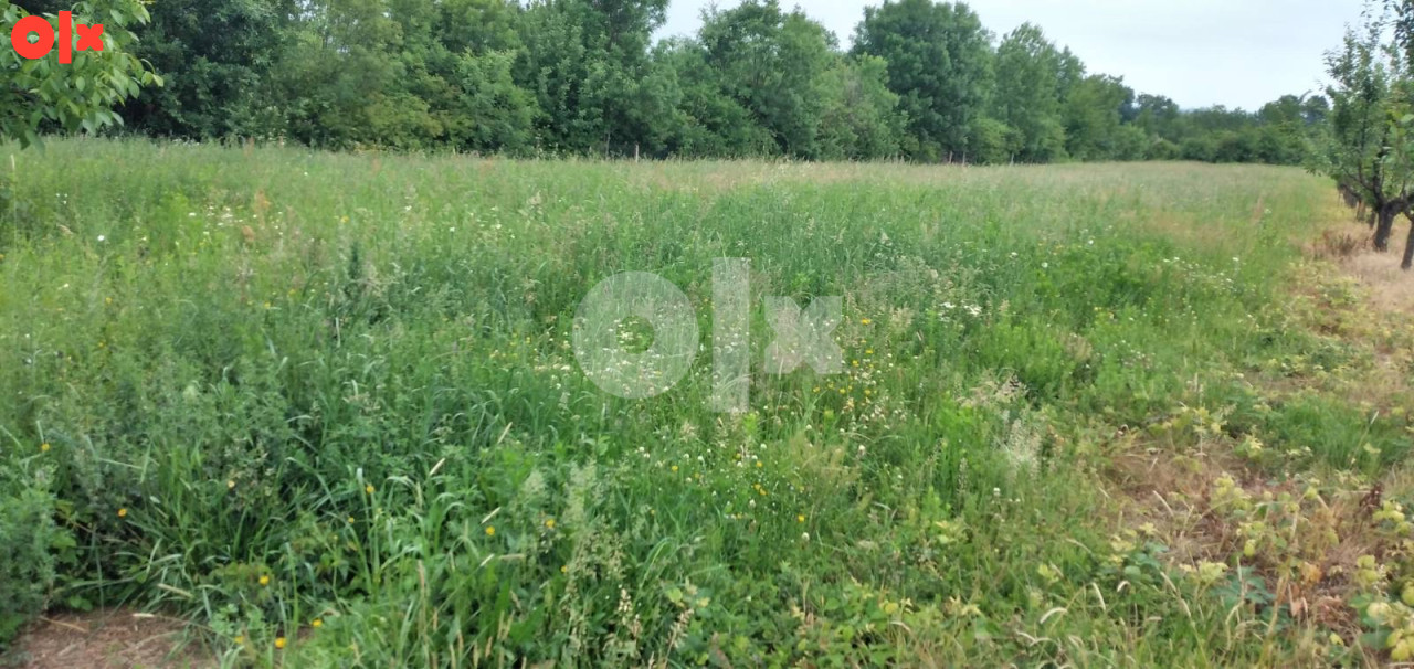 Popljoprivredno zemljiste 23,5 A-Arandjelovac-Kopljare (Srbija)