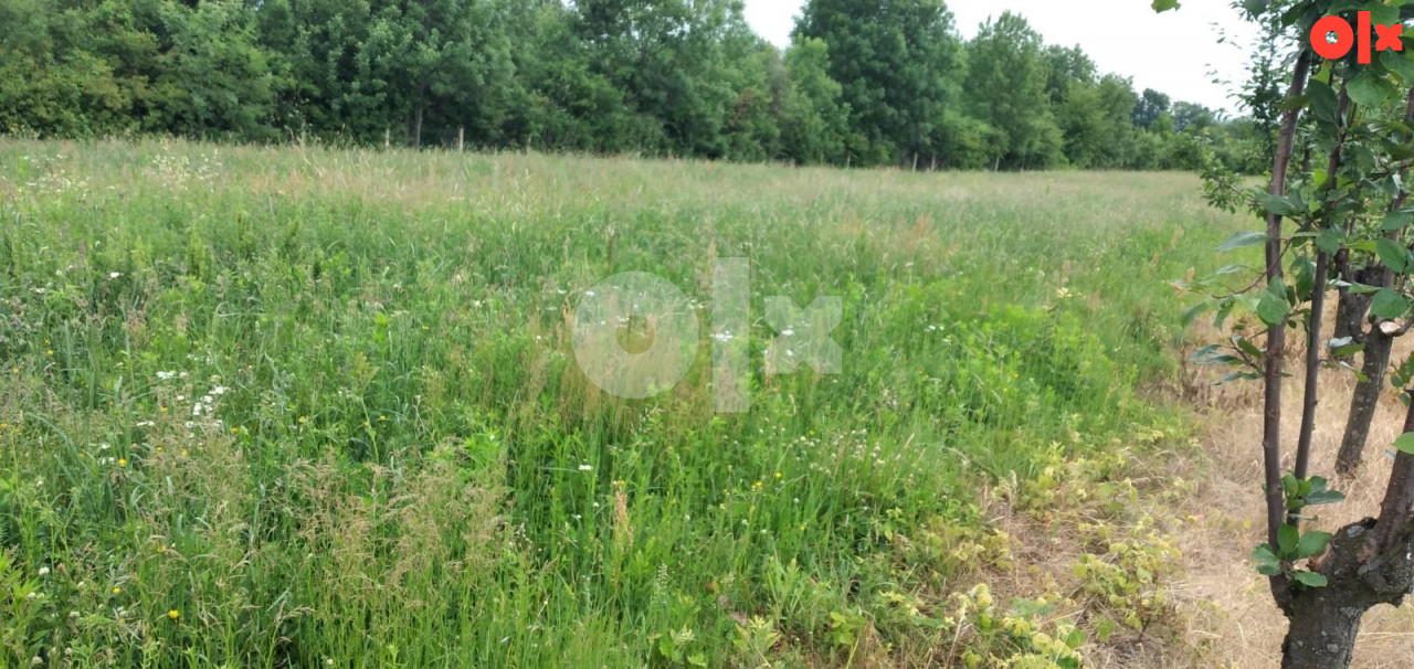 Popljoprivredno zemljiste 23,5 A-Arandjelovac-Kopljare (Srbija) 3