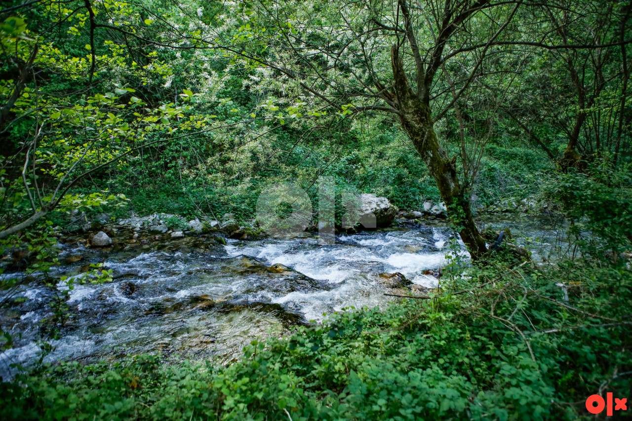 Kuća sa zemljistem 6.895m2 na rijeci Bijela,Konjic 6