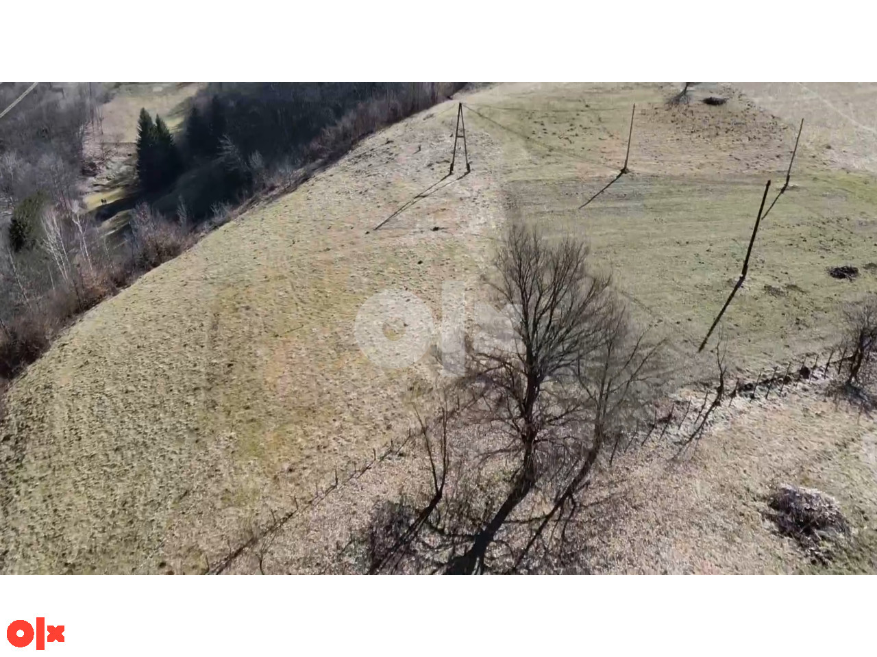 Zemljište Kijevo 12.000m2 3