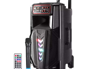Karaoke bluetooth zvučnik LT-1205 12" 300 W