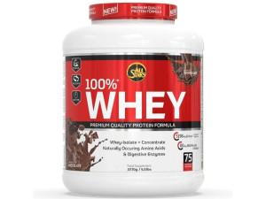 100% WHEY PROTEIN - čokolada - 2270g - All Stars