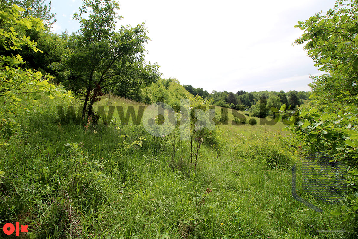 LOCUS prodaje: Zemljište 7.624m2, Hotonj, Vogošća 7