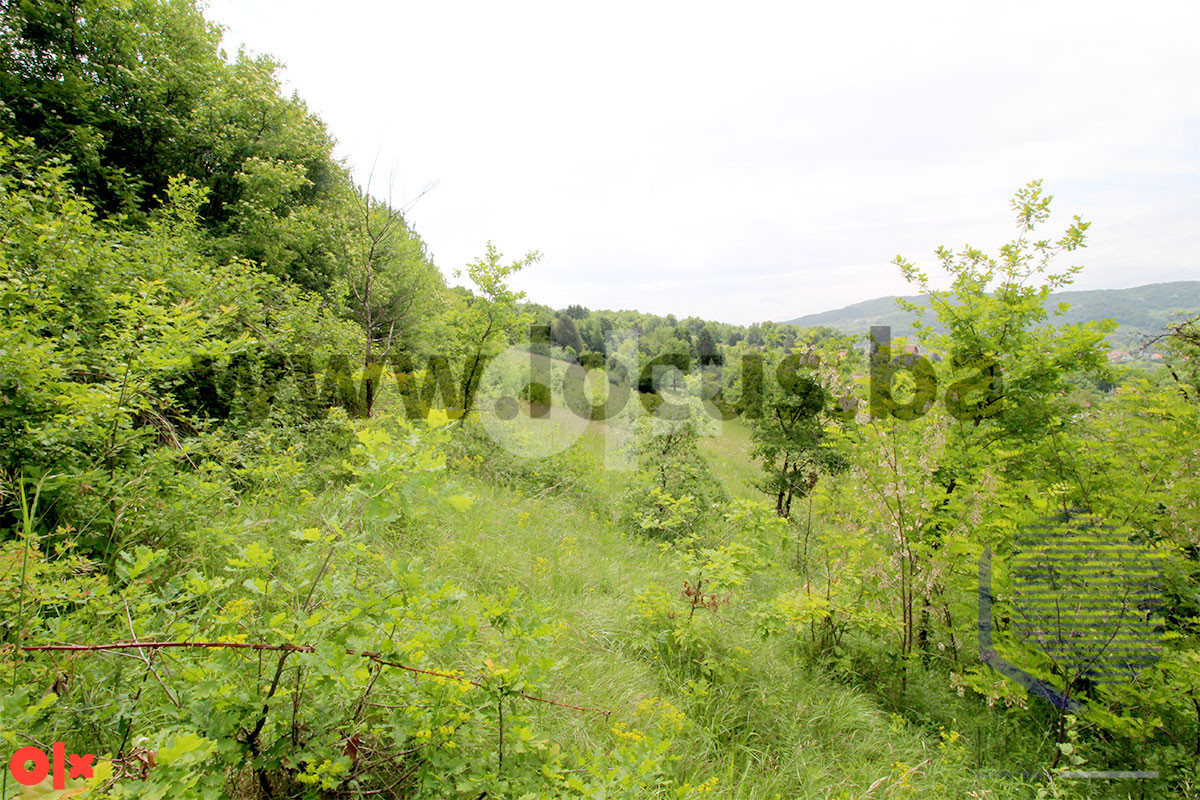 LOCUS prodaje: Zemljište 7.624m2, Hotonj, Vogošća 8