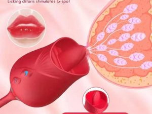 ROSE 2U1 TELESKOPSKI VIBRATOR