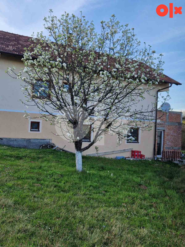 Prodaja kuće Kola Banja Luka 4