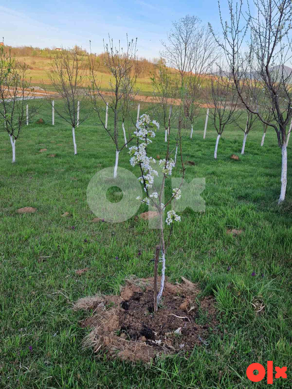 Prodaja kuće Kola Banja Luka 5