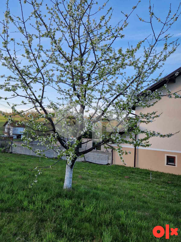 Prodaja kuće Kola Banja Luka 8