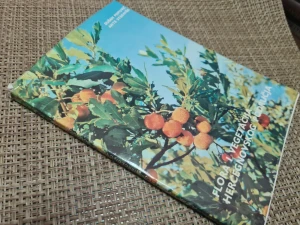 Flora i vegetacija hercegnovskog područja