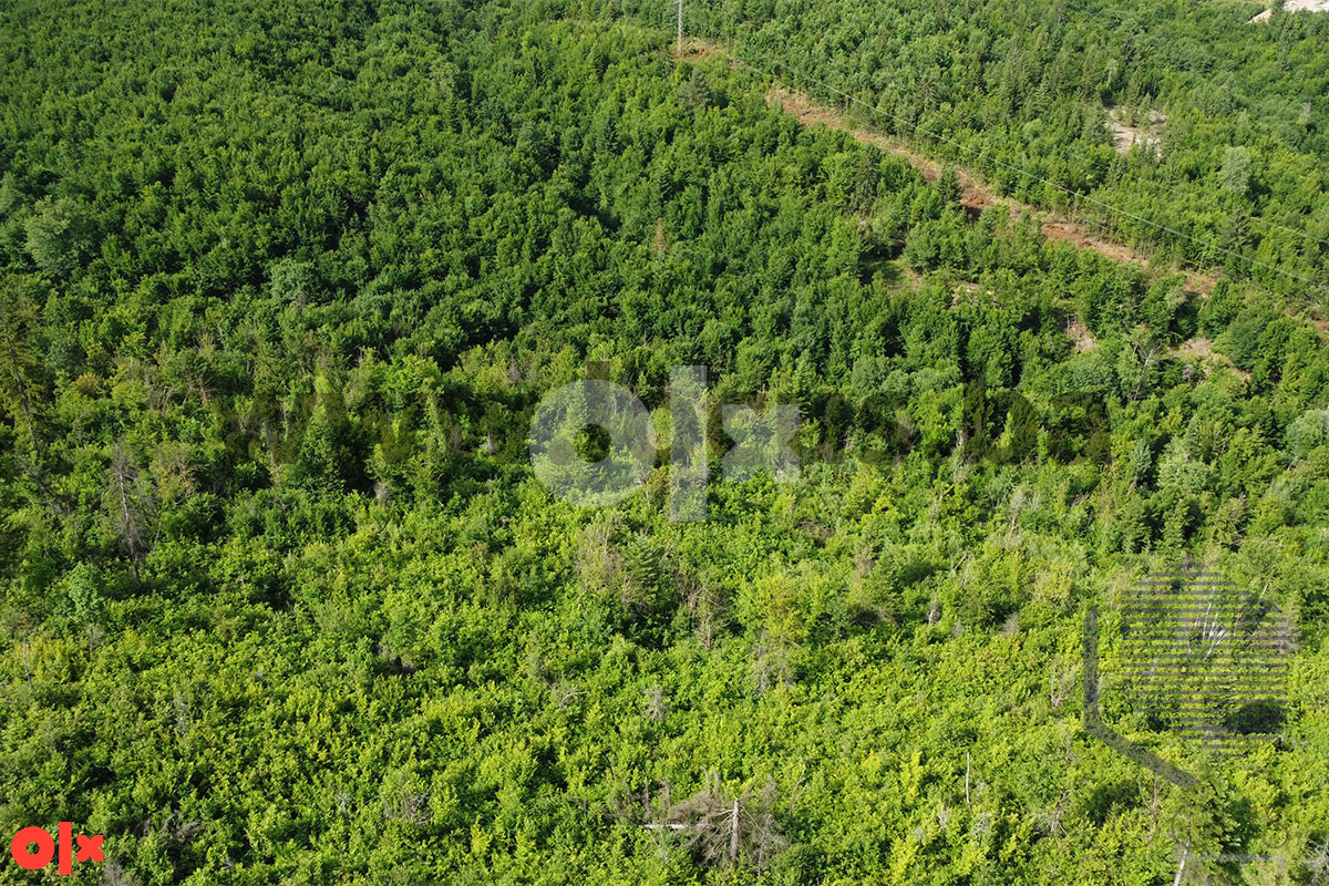 LOCUS: Zemljište površine 19.800m2, Vlakovo, Ilidža 3