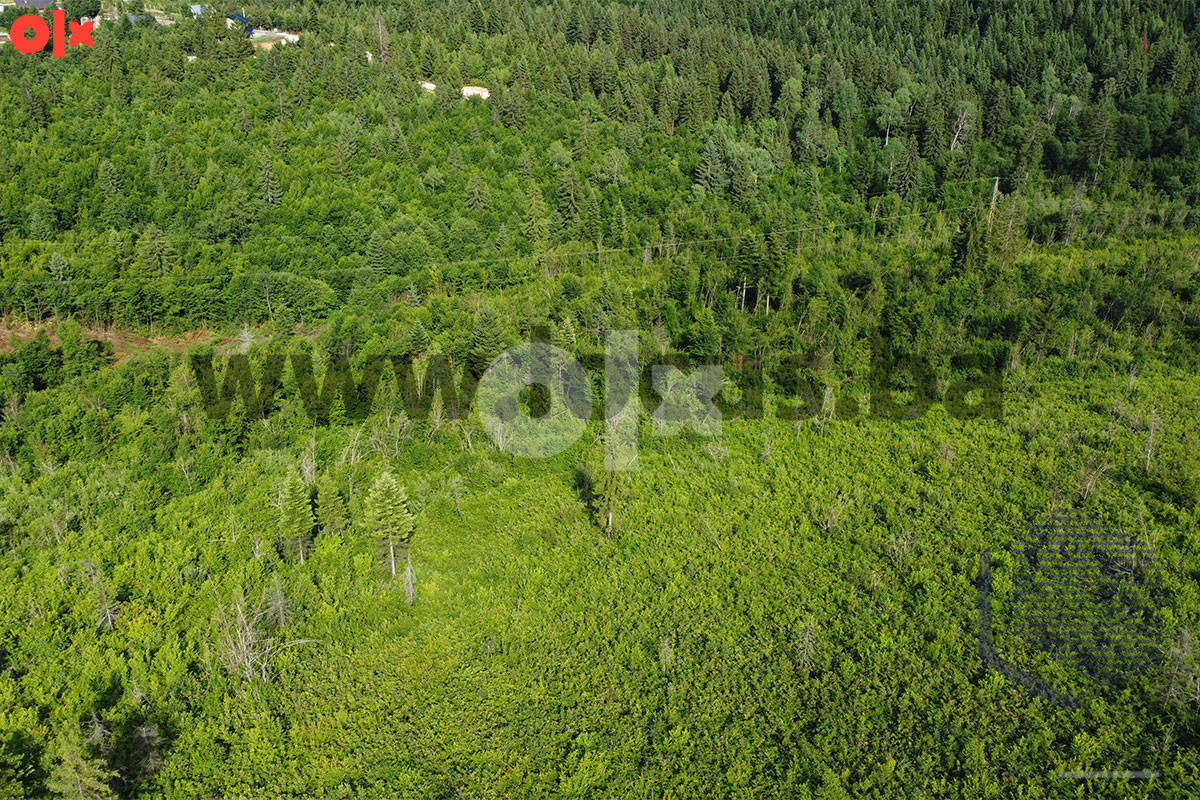 LOCUS: Zemljište površine 19.800m2, Vlakovo, Ilidža 4