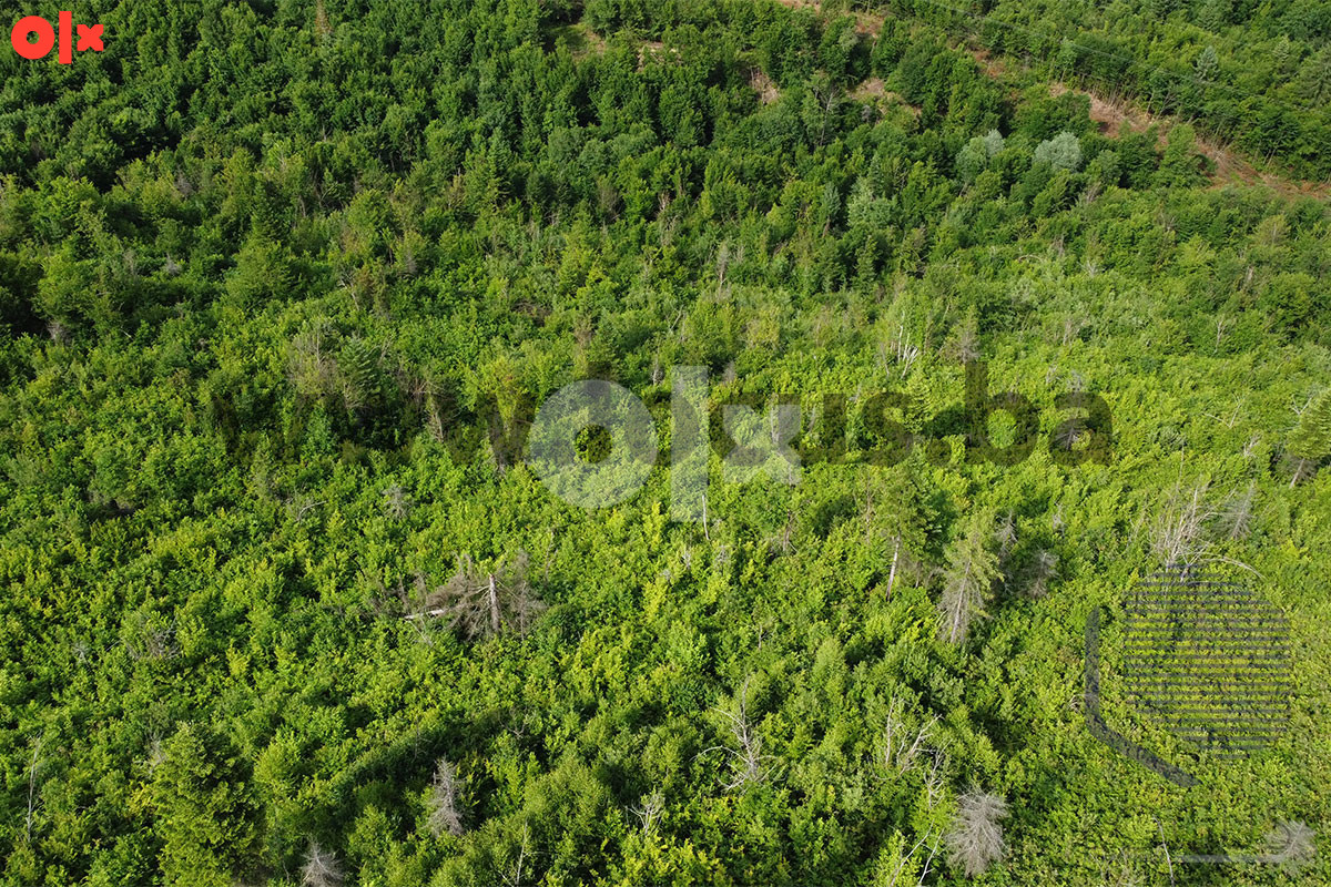 LOCUS: Zemljište površine 19.800m2, Vlakovo, Ilidža 5