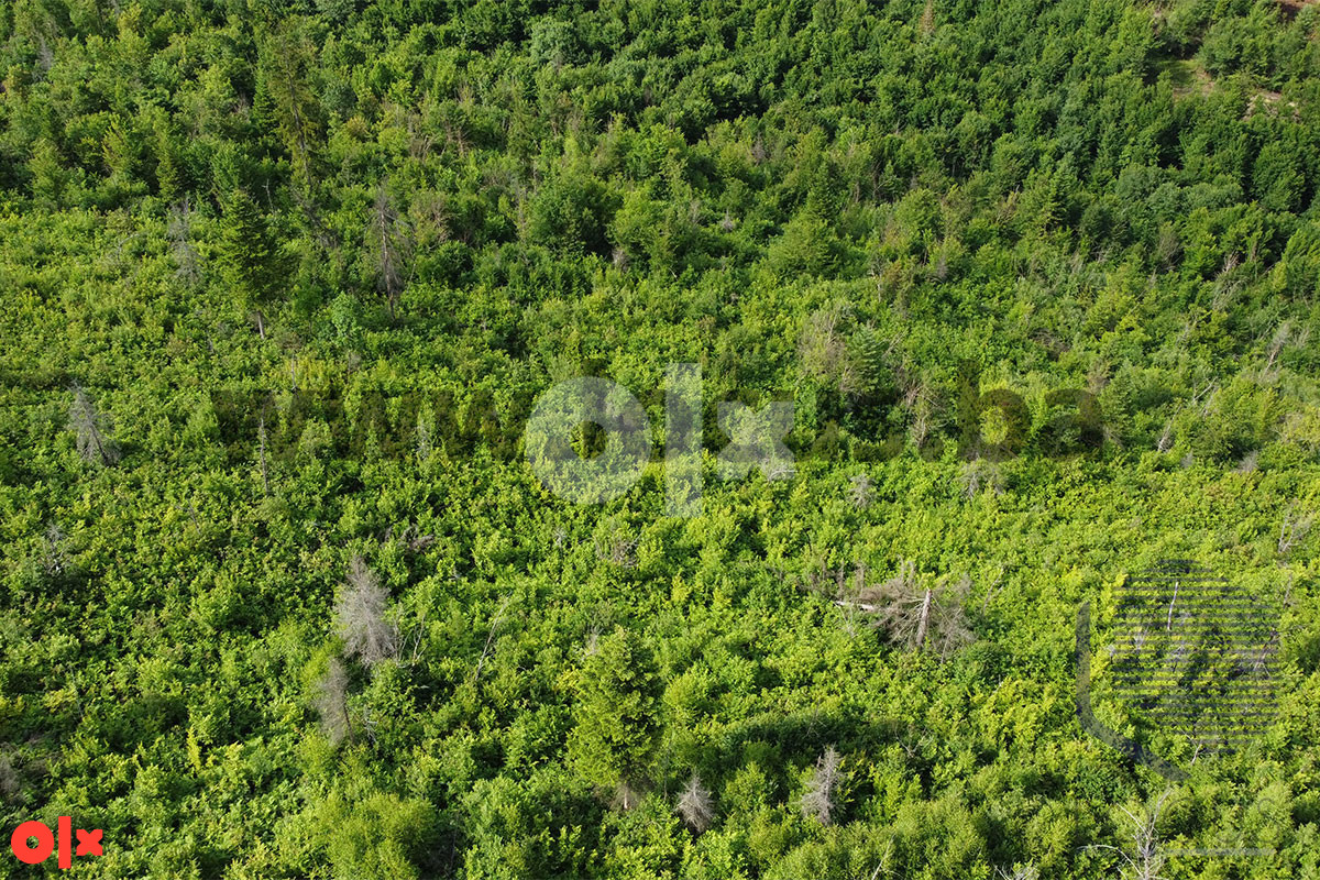 LOCUS: Zemljište površine 19.800m2, Vlakovo, Ilidža 6