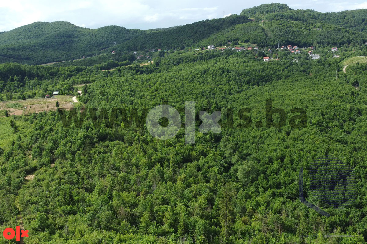 LOCUS: Zemljište površine 19.800m2, Vlakovo, Ilidža 7