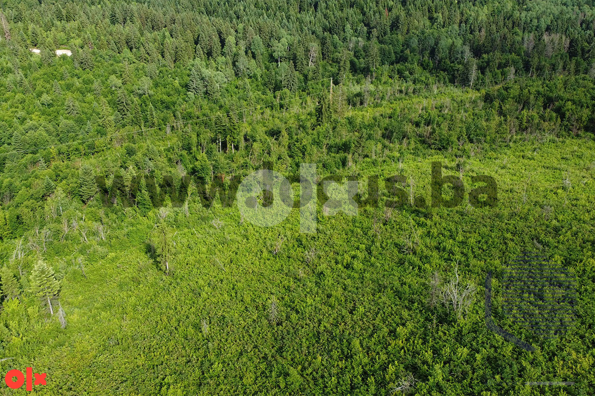 LOCUS: Zemljište površine 19.800m2, Vlakovo, Ilidža 9