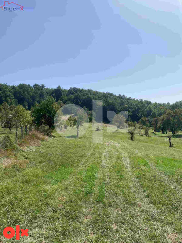 Zemljište / Kremeš / Vogošća / 6705m2 6
