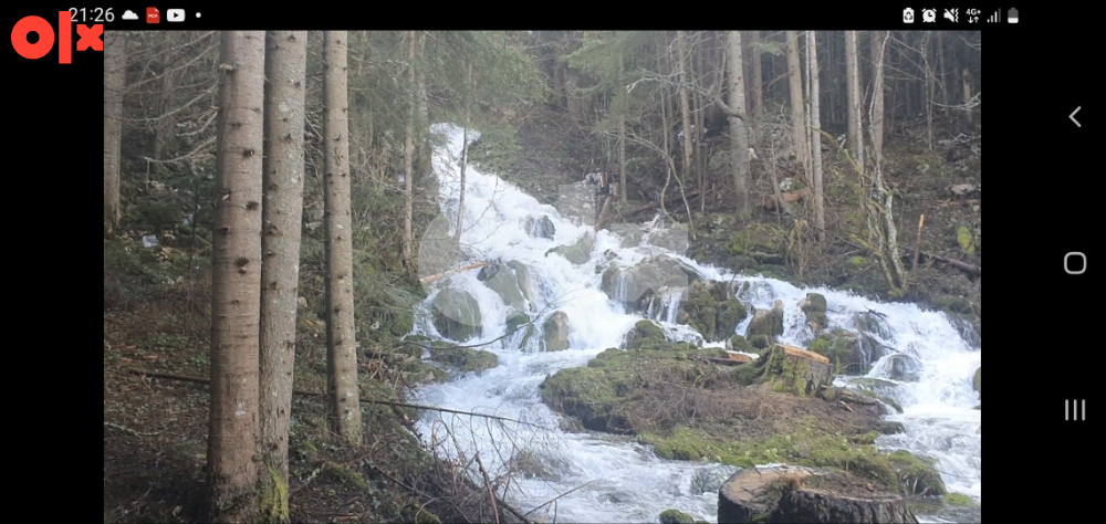 Zemljište Pale (Ravna planina) 2