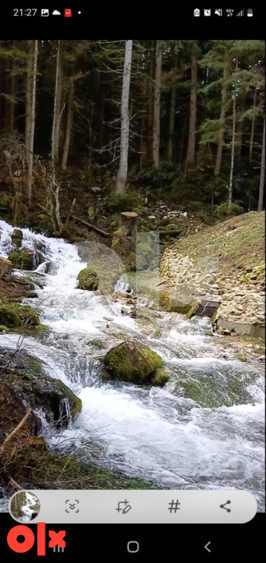 Zemljište Pale (Ravna planina) 3