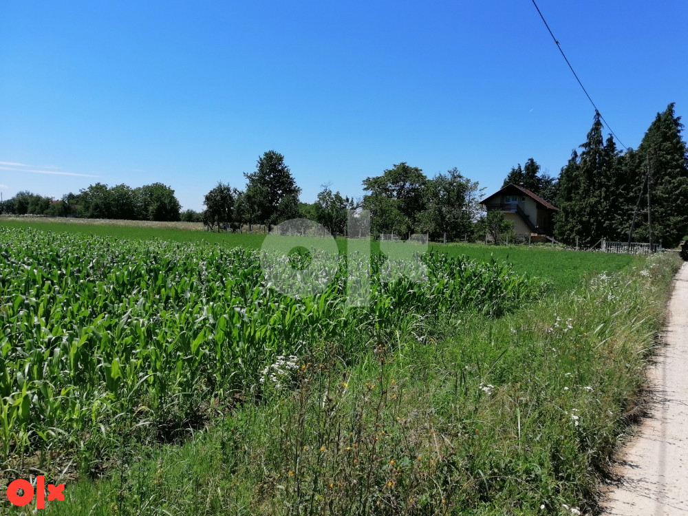Placevi Laktaši  (5 x 927m2) Vel. Blaško