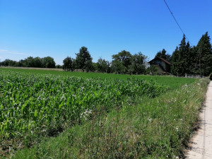 Zemljište Laktaši 5400 m2 (6 x 900m2) vel. Blaško