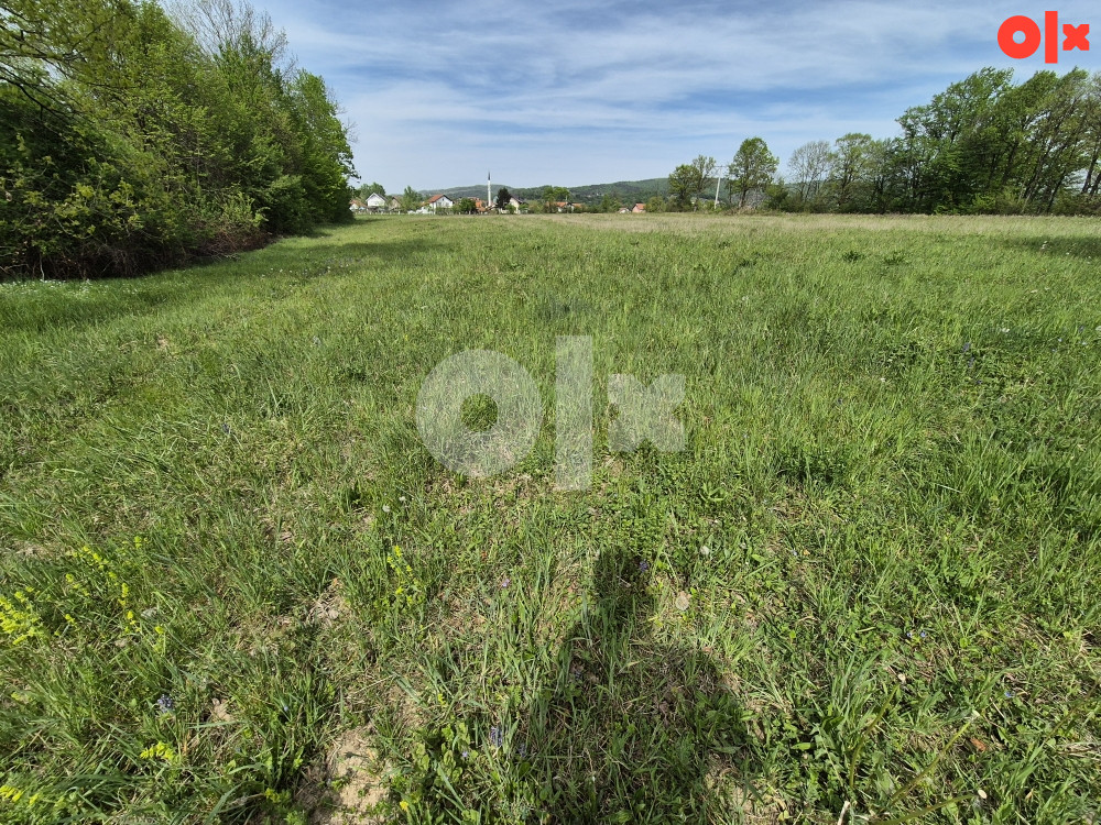Kuća-Zemlja Kalesija-Memići 8000m2 4