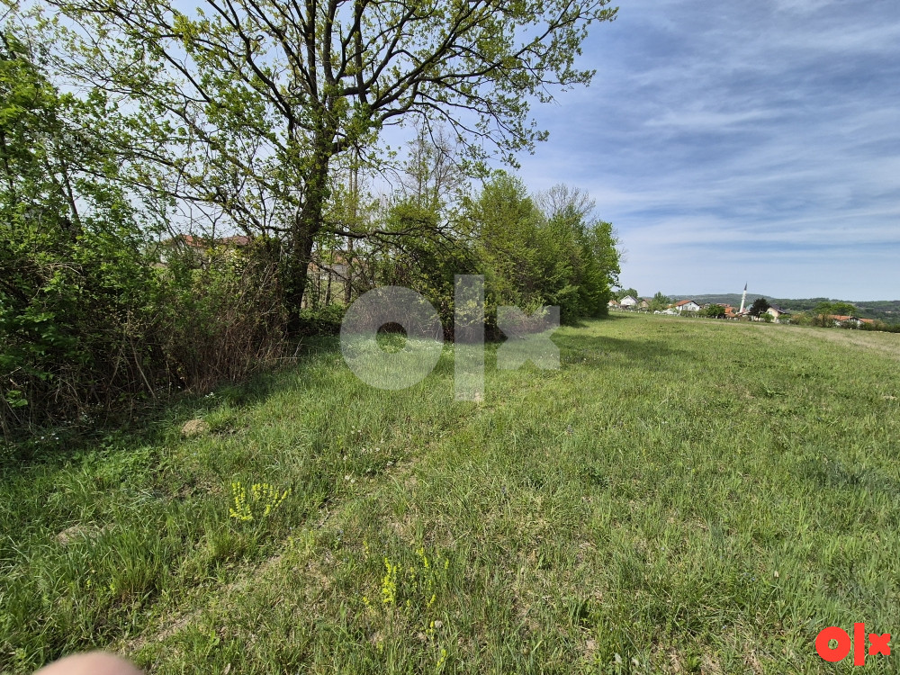 Kuća-Zemlja Kalesija-Memići 8000m2 6