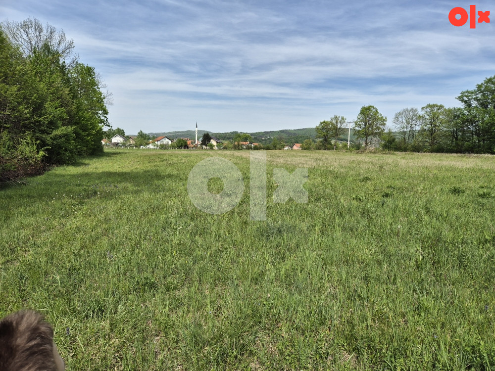 Kuća-Zemlja Kalesija-Memići 8000m2 5