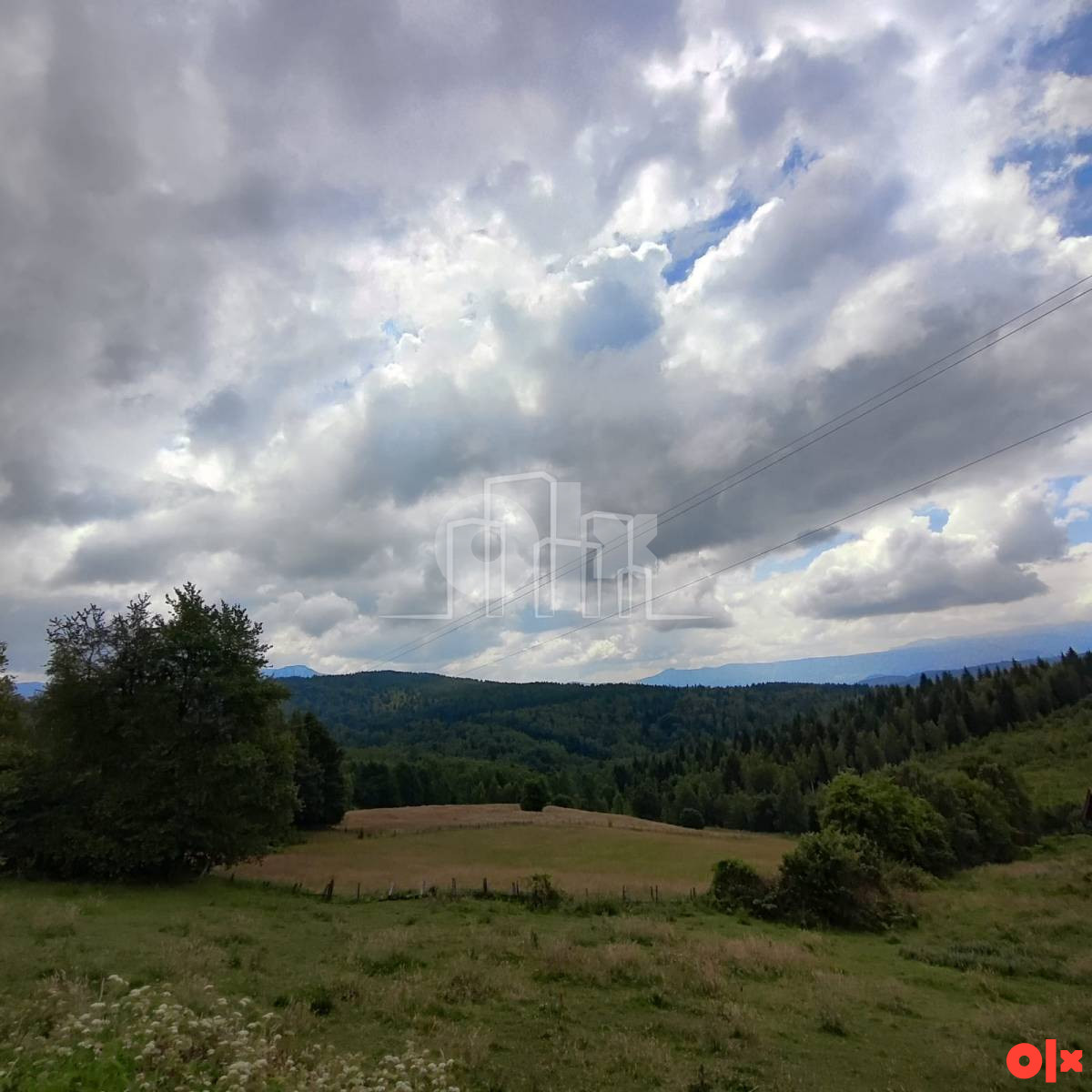 Zemljište Hreša 38.000m2 Prodaja 2