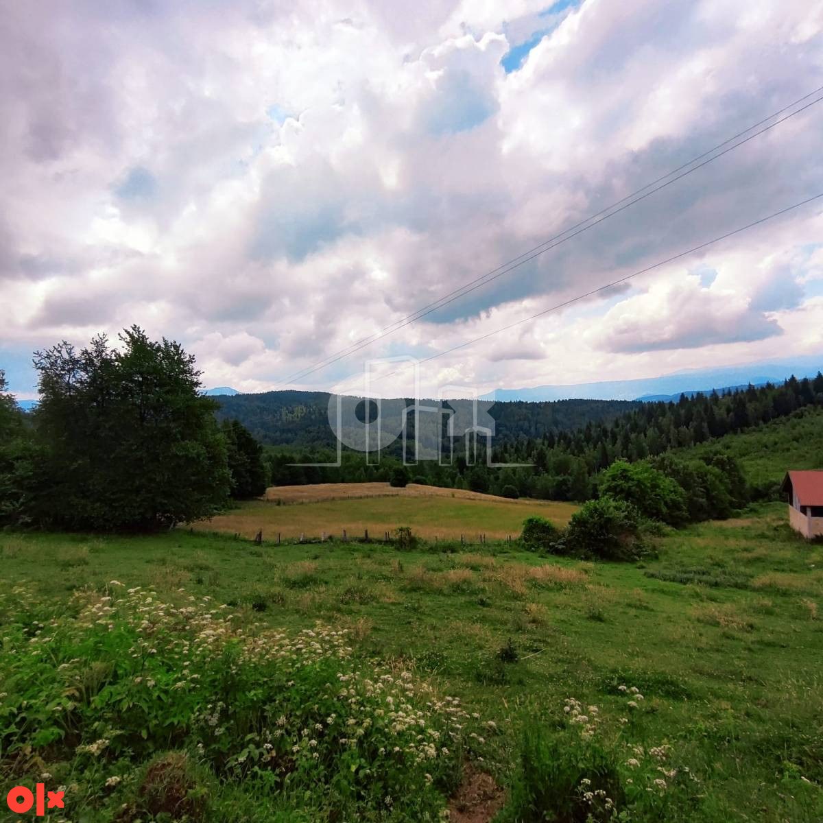 Zemljište Hreša 38.000m2 Prodaja 3