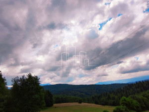 Zemljište Hreša 38.000m2 Prodaja