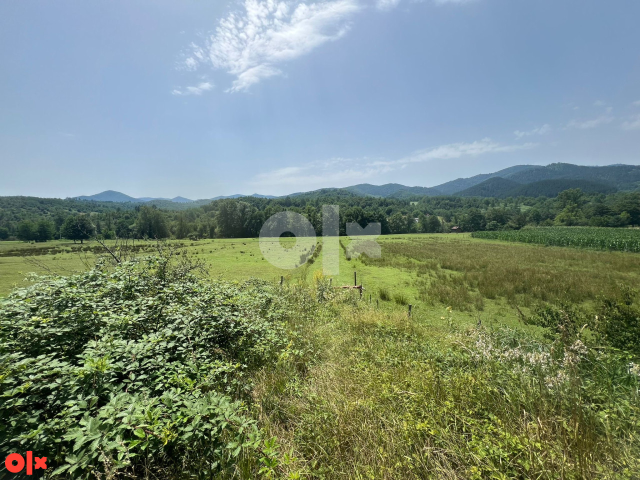 Zemljište Zavidovići 3110m2 4