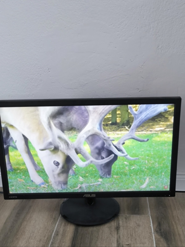MONITOR ASUS VP247/24 INČA Monitori - Main Image