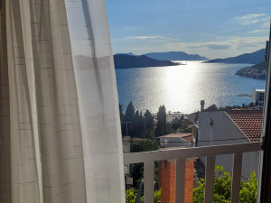 Studio apartman Mandić