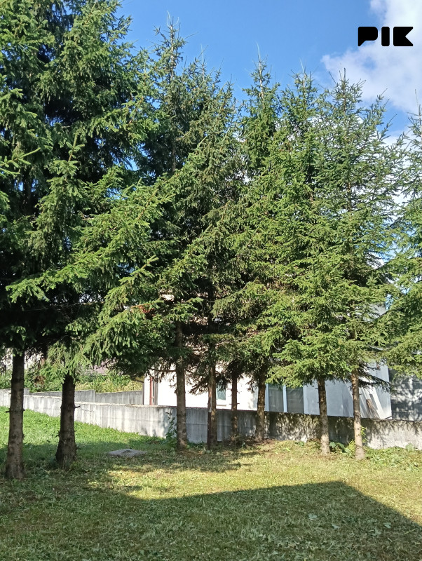 Kuća Kupres 280m2, mogućnost iznajmljivanja 9