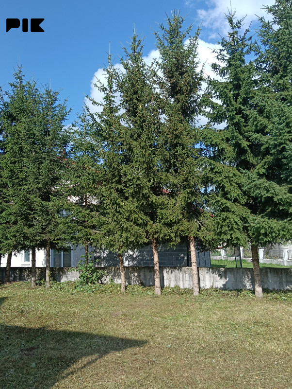 Kuća Kupres 280m2, mogućnost iznajmljivanja 10