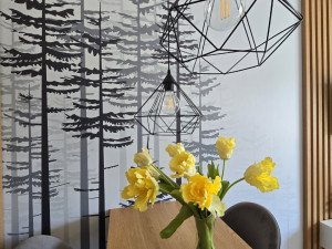 Prodaja apartman Poljice Jahorina Dvosoban