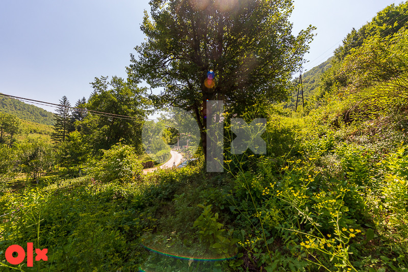 Zemljište - Trnovo - Presjenica - 6844m2 - Prodaja