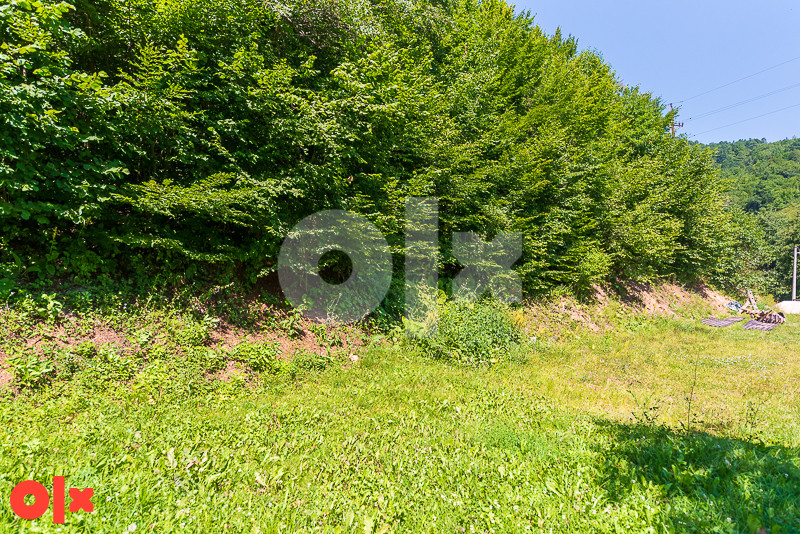 Zemljište - Trnovo - Presjenica - 6844m2 - Prodaja 4