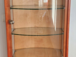Fossil vitrina za satove i nakit
