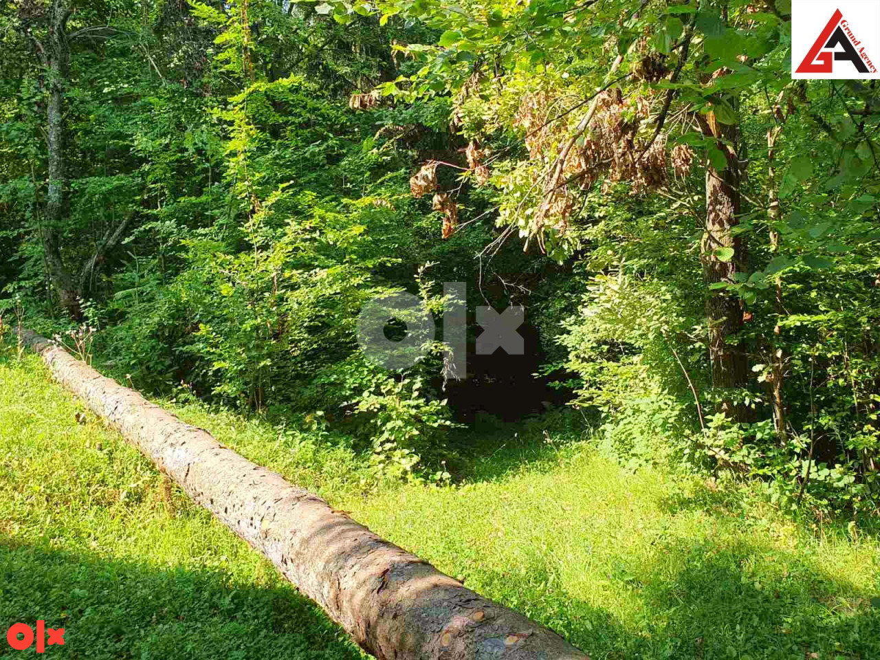 Vikendica 54 m2 sa 4593 m2 okućnice - PEPELARI - ZENICA 3