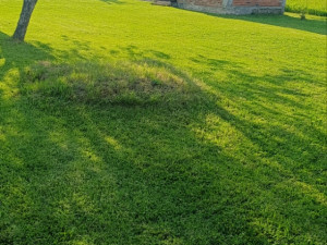 Mala Kuća okolina Bijeljine,,Suvo Polje photo 3