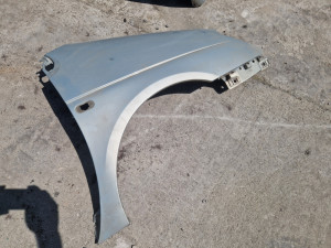 Blatobran desni scenic senik 2001